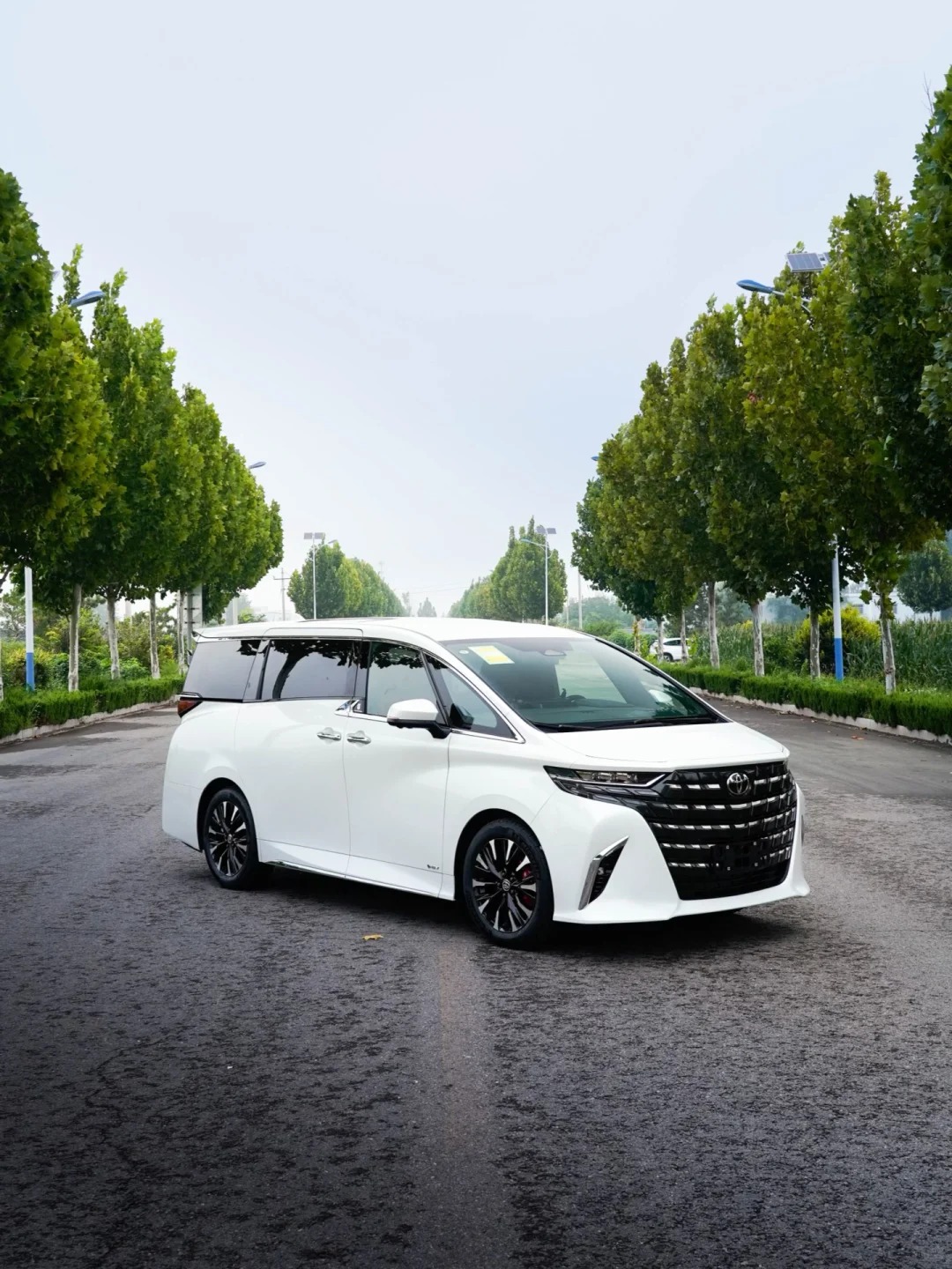 Alphard Luxury Van 1