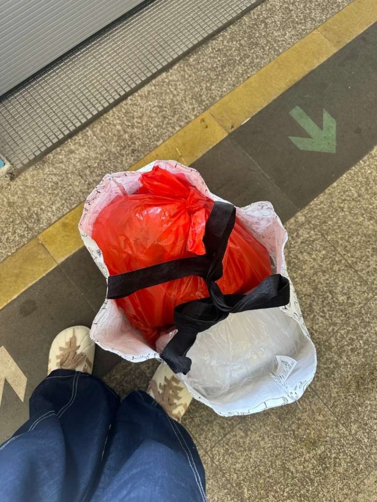 Freelance Cross-Border Errand Runner Shenzhen-Hong Kong | Same-Day Round Trip & Point-to-Point Delivery